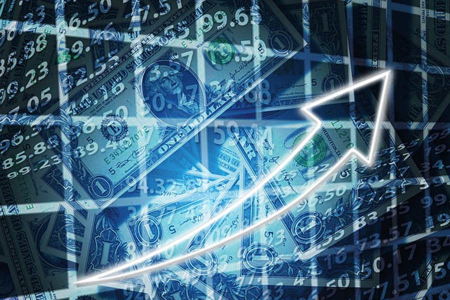 股东权利的护盾：深入解析公司法中股东的关键地位
